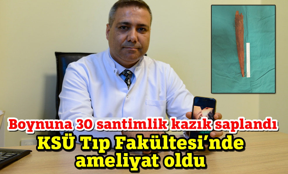 Boynuna 30 santimlik kazık saplandı, KSÜ'de ameliyat oldu