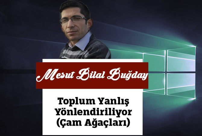 Toplum Yanlış Yönlendiriliyor (Çam Ağaçları)