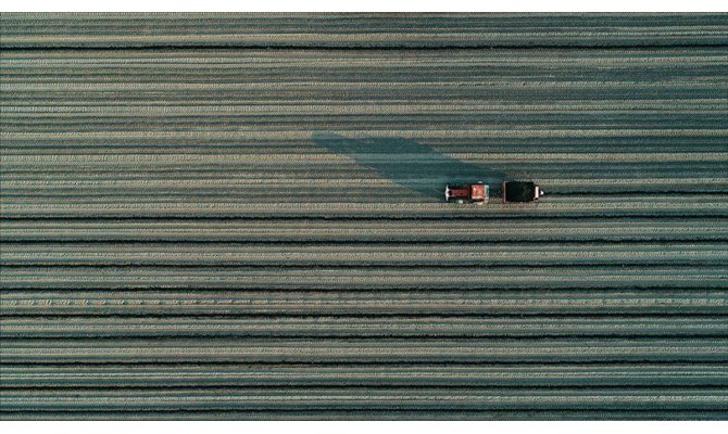 Tarım ve Orman Şurası için beyin fırtınası