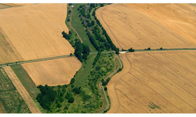 22 ilde ekolojik koridor oluşturulacak
