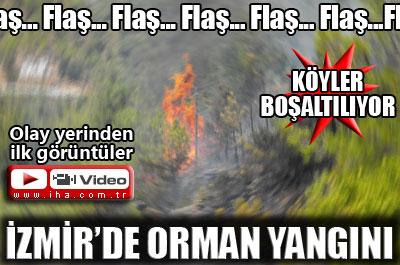İzmirde orman yangını