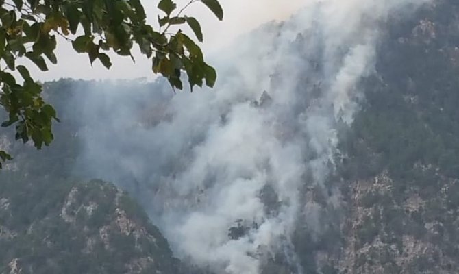 Kahramanmaraş’ta orman yangını