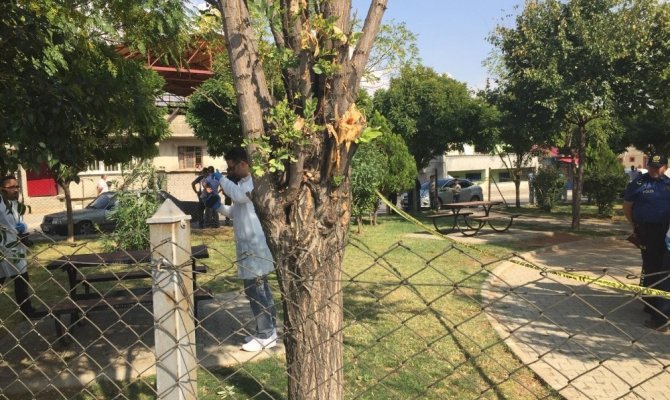 Torpil bomba gibi patladı