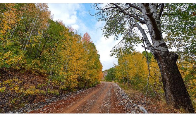 Tunceli ormanları sonbahar renkleriyle bir başka güzel