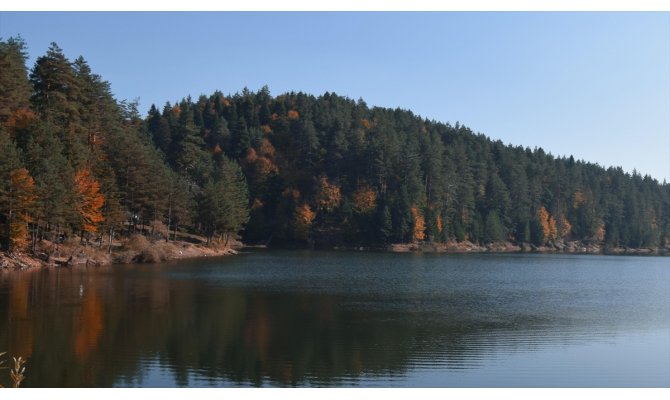Bozcaarmut Göleti'nde renk cümbüşü