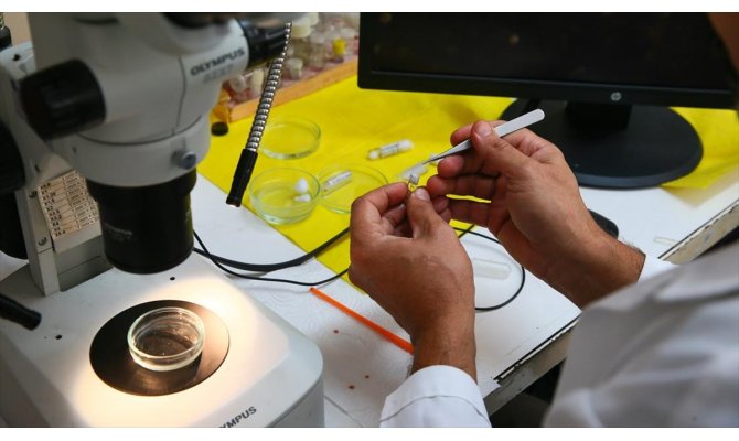 Türk sularında 56 yeni canlı türü tespit edildi