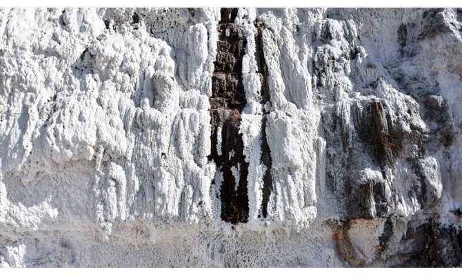 'Delice tuzu' mineral açısından zengin çıktı