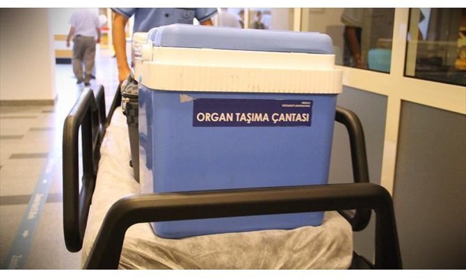 Türkiye'den dünyaya organ nakli eğitimi