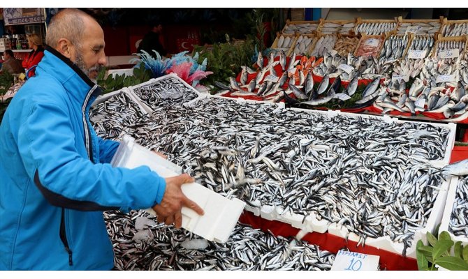 Sezon başına göre hamsinin fiyatı 3 kat ucuzladı
