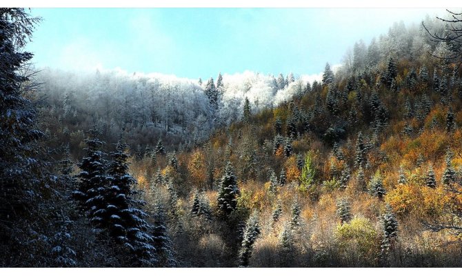 Kastamonu'da sonbaharın renk cümbüşü