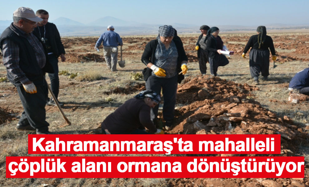 Kahramanmaraş'ta mahalleli çöplük alanı ormana dönüştürüyor