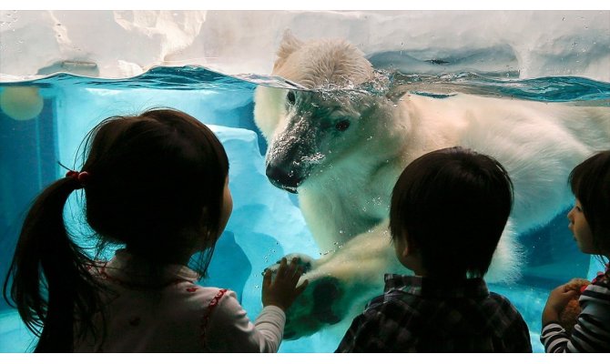 İklim değişikliği çocukların sağlığını tehdit ediyor
