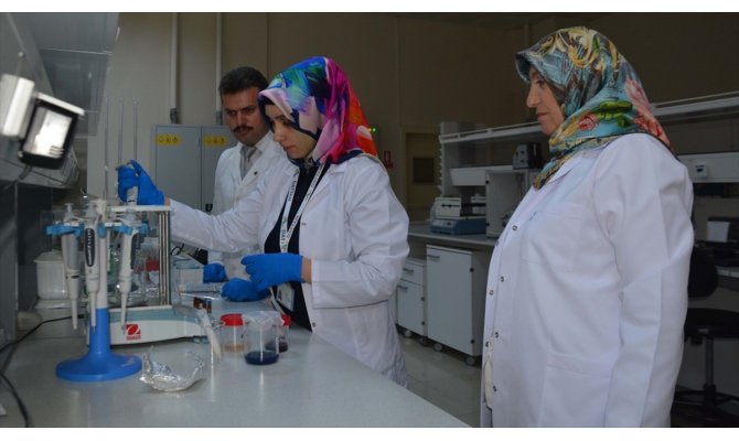 Atatürk Üniversitesinden akademisyenler 'çaşır'dan krem üretti