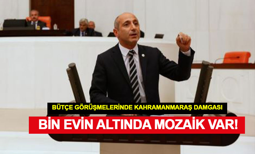 Milletvekili Ali Öztunç, Bin Evin Altında Mozaik Var!