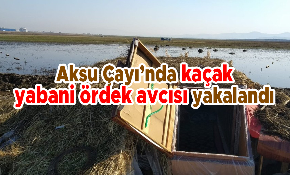 Aksu Çayı'nda kaçak yabani ördek avcısı yakalandı