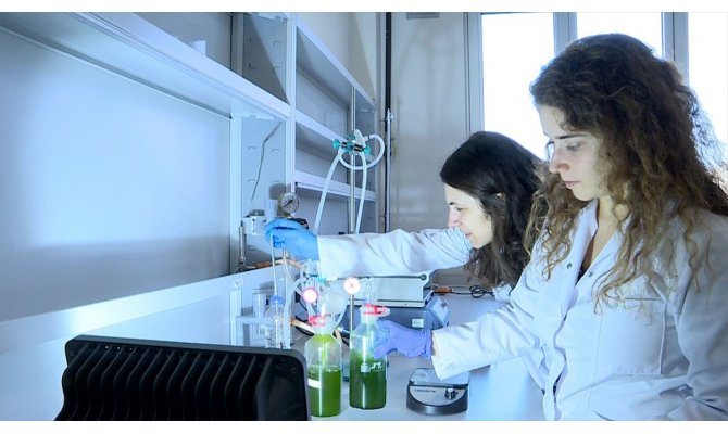 Enerjisini üreten çevreci kampüs, insanlığın sorunlarına yosunla çözüm arıyor