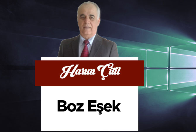 Boz Eşek