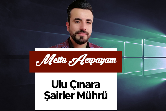Ulu Çınara Şairler Mührü