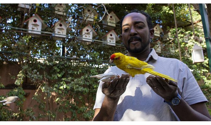 Gençlere çevre bilinci aşılamak için evinin bahçesini yağmur ormanına çevirdi