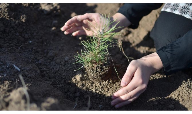 Öğretmenler adına fidan sahiplenme imkanı