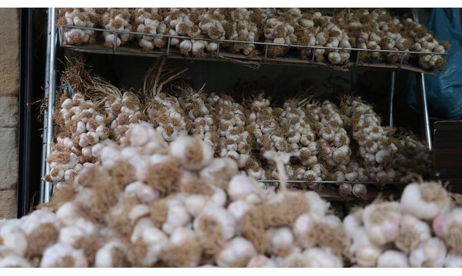 Taşköprü sarımsağında fiyatlar dengelendi