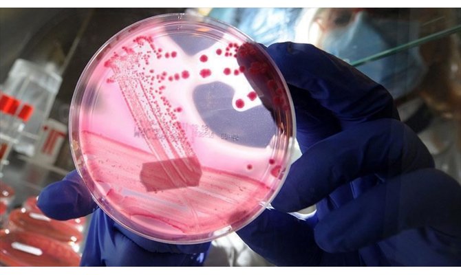 Meme ve yumurtalık kanserinde 'babanın prostat kanseri öyküsü' de etkili