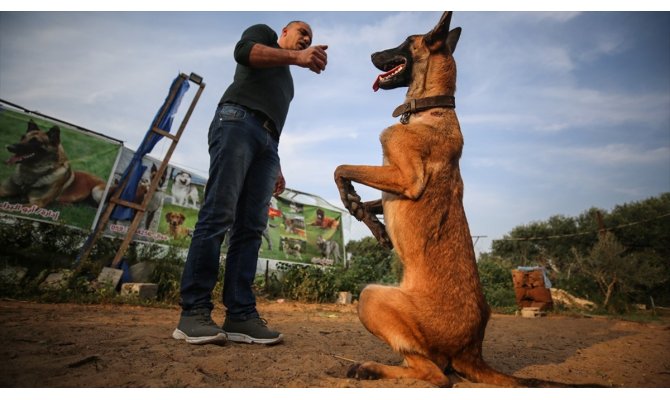 Gazze'de ablukaya rağmen hayalindeki köpek eğitim okulunu açtı