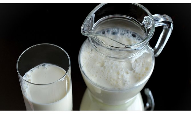 Kaba yemle beslenen hayvanın sütü protein açısından daha zengin