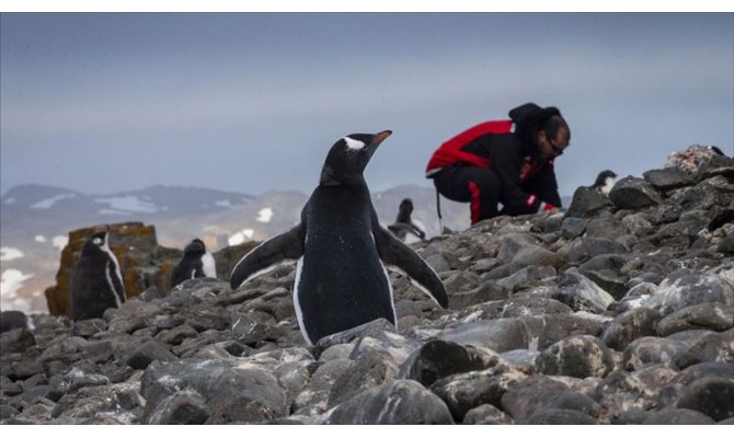 Antarktika seferleri meyvelerini veriyor