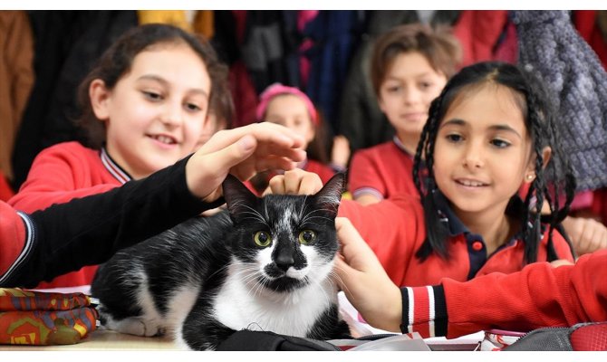 Minik öğrencilerin okulu sahipsiz 'Kartal'a yuva oldu