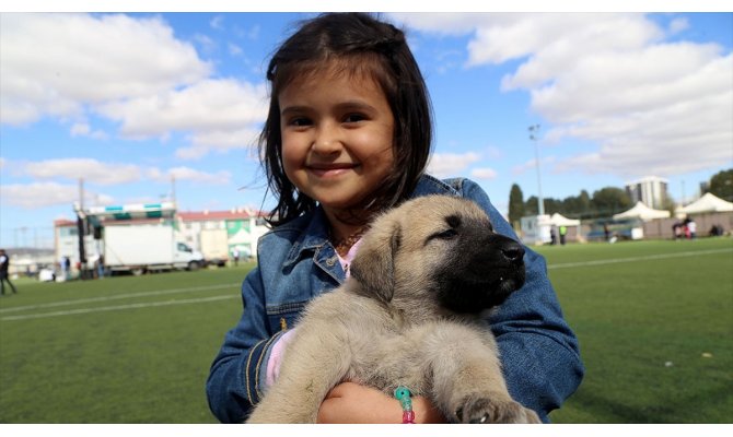 Çocukluğunu köpek beslenen evde geçirmek şizofreni riskini azaltabilir