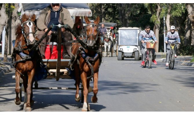 Adalar'da fayton turları durduruldu