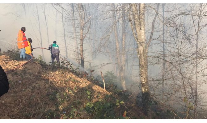 Karadeniz Bölgesi'ndeki tüm yangınlar kontrol altına alındı