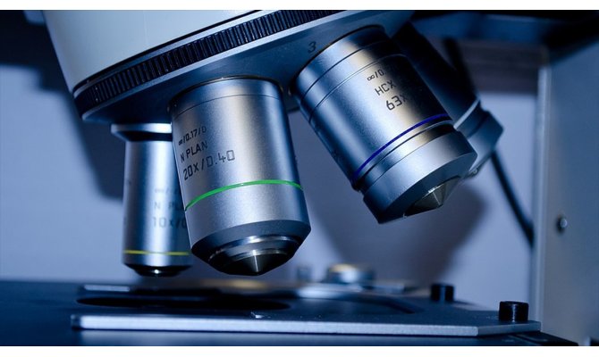 Kapsül robotlar biyopsi yapacak