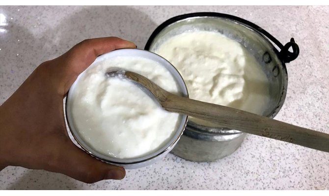 Yoğurt tüketiminin gripten koruduğu tespit edildi