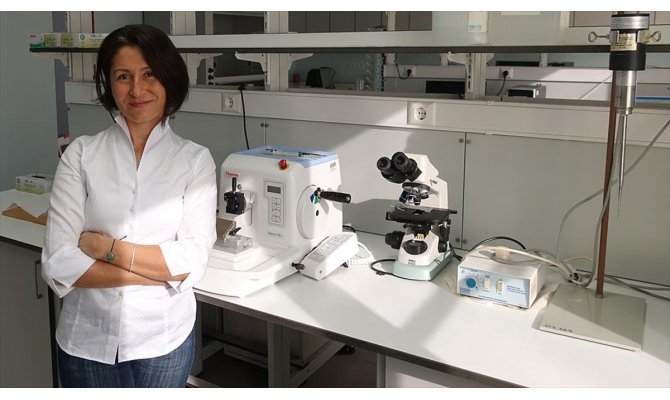 Türk bilim insanları magnezyumun ağrıyı azalttığını kanıtladı