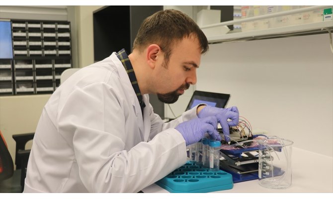 Türk bilim insanları H1N1 virüsünü 5 dakikada tespit eden taşınabilir cihaz geliştirdi