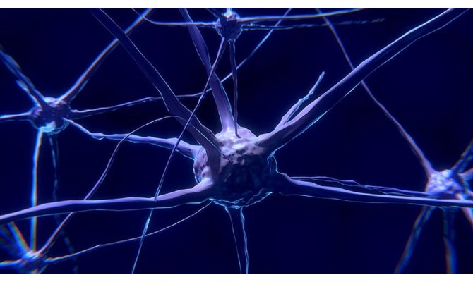 Parkinson'a erken yaşta yakalananların beyin hücreleri doğuştan hasarlı olabilir