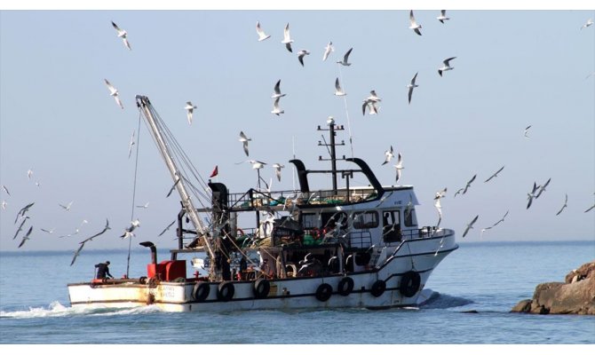Akçakocalı balıkçılar limana 60 ton hamsiyle döndü