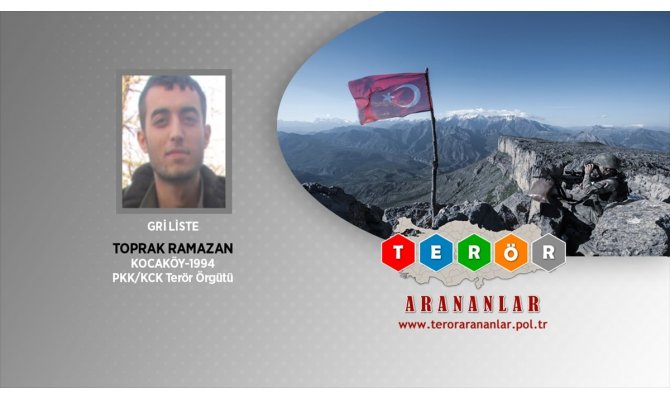 Lice'de geçen yıl etkisiz hale getirilen bir teröristin gri kategoriden olduğu belirlendi