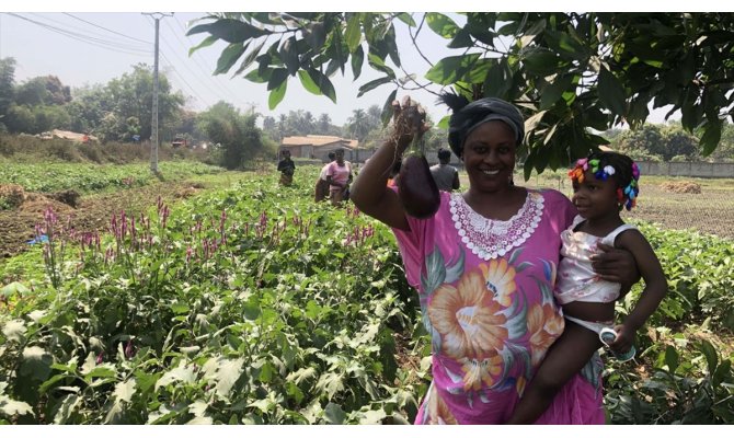 TİKA'dan Gine'de kadınlar için tarım istihdamı