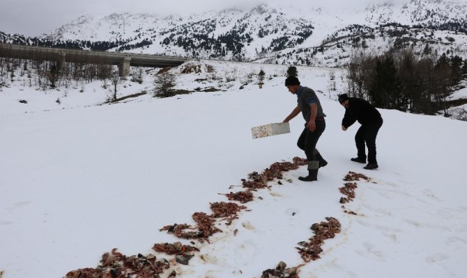 Kahramanmaraşlı balıkçıdan örnek davranış