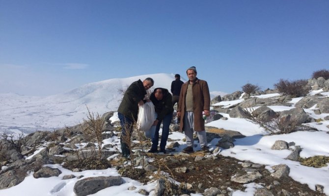 Yaban hayvanları için doğaya bir ton yem bırakıldı