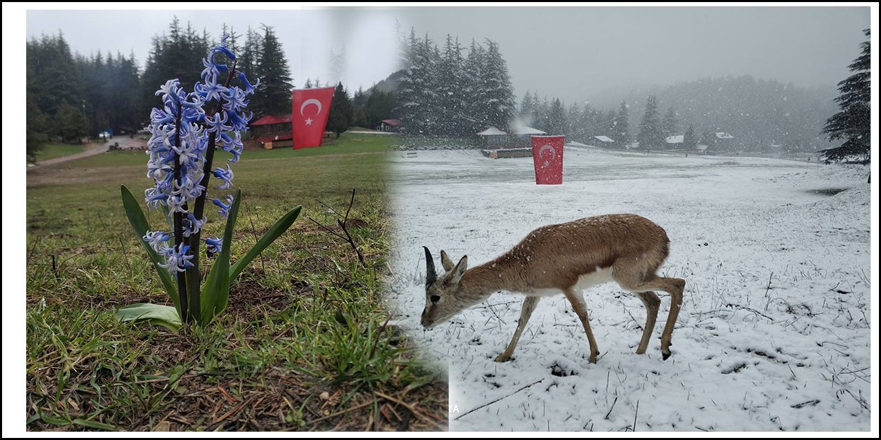 Başkonuş’ta bahar-kış iç içe girdi