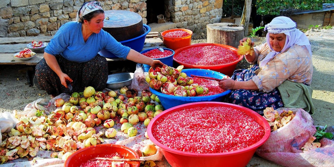 Nar Ekşisi her derde deva oluyor