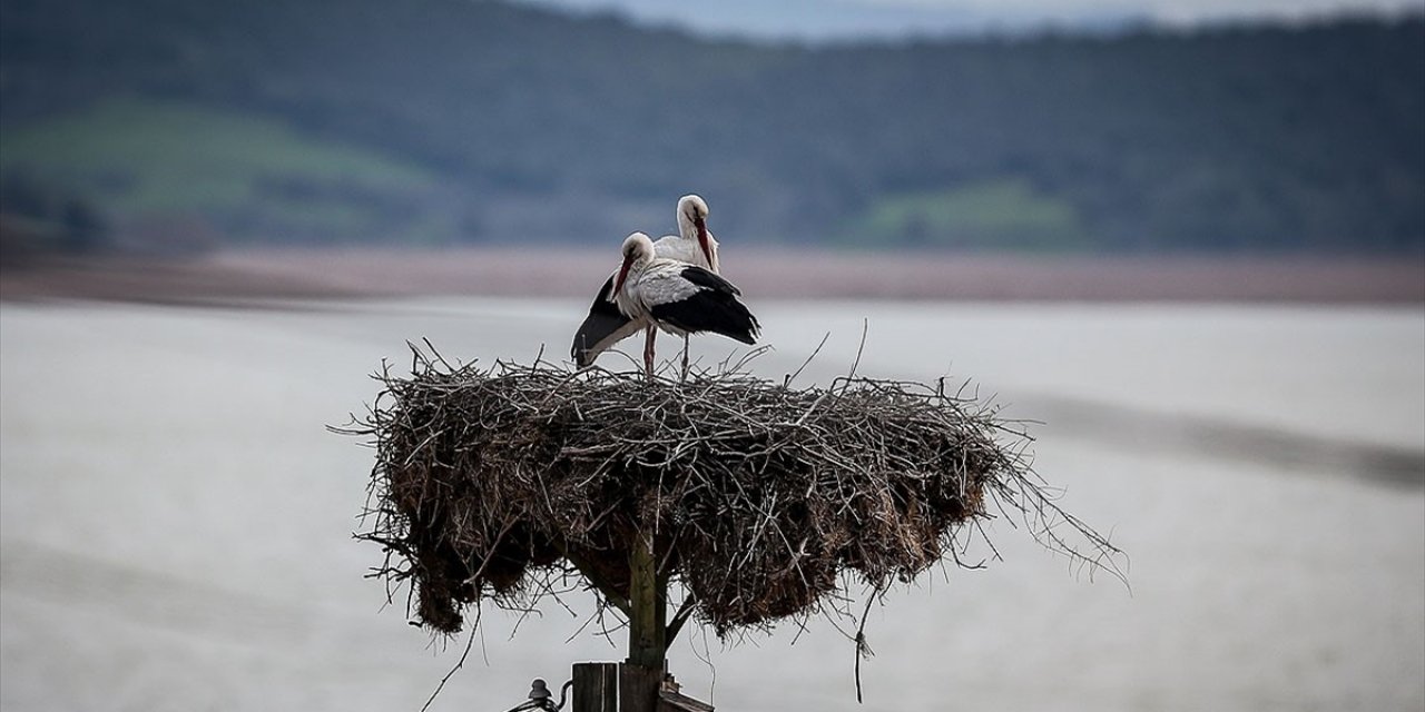 'Yaren' belgesel filminin prömiyeri yarın online olarak gerçekleşecek