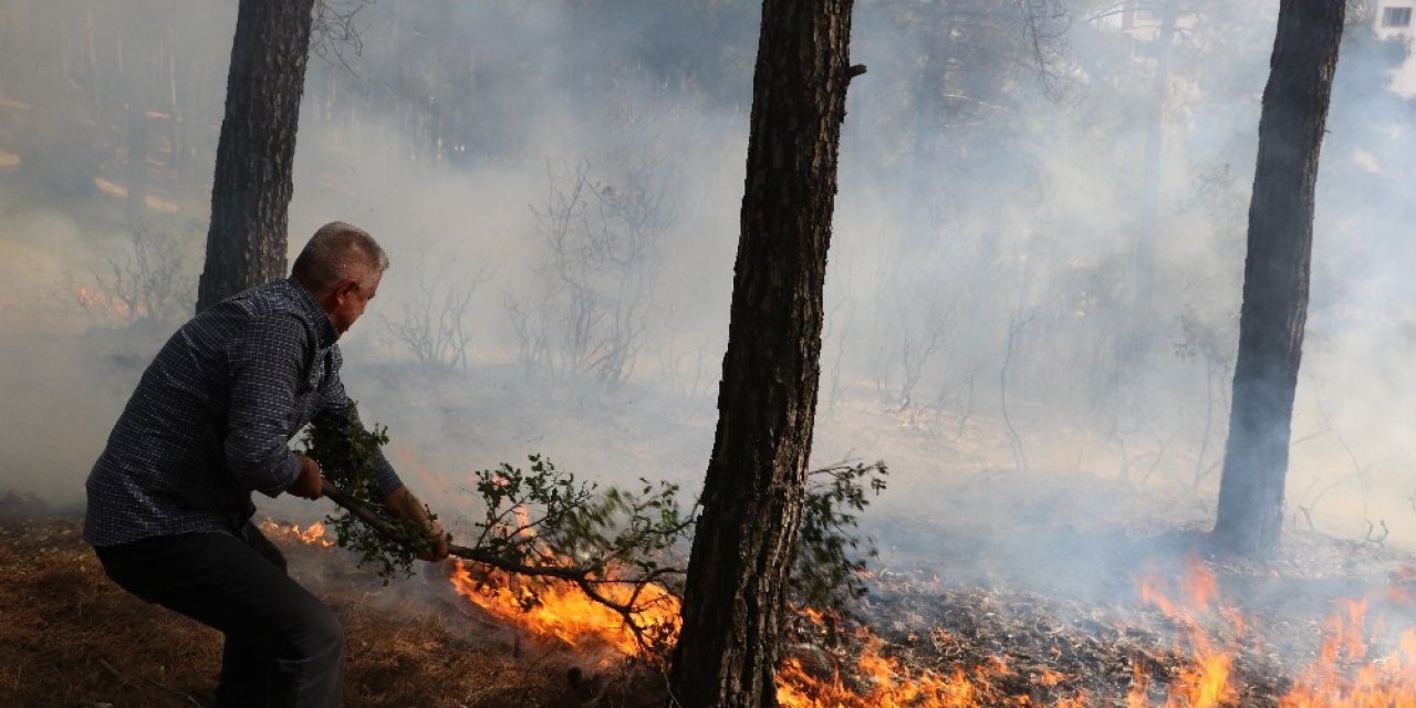 Orman yangınını itfaiye ve vatandaşlar söndürdü