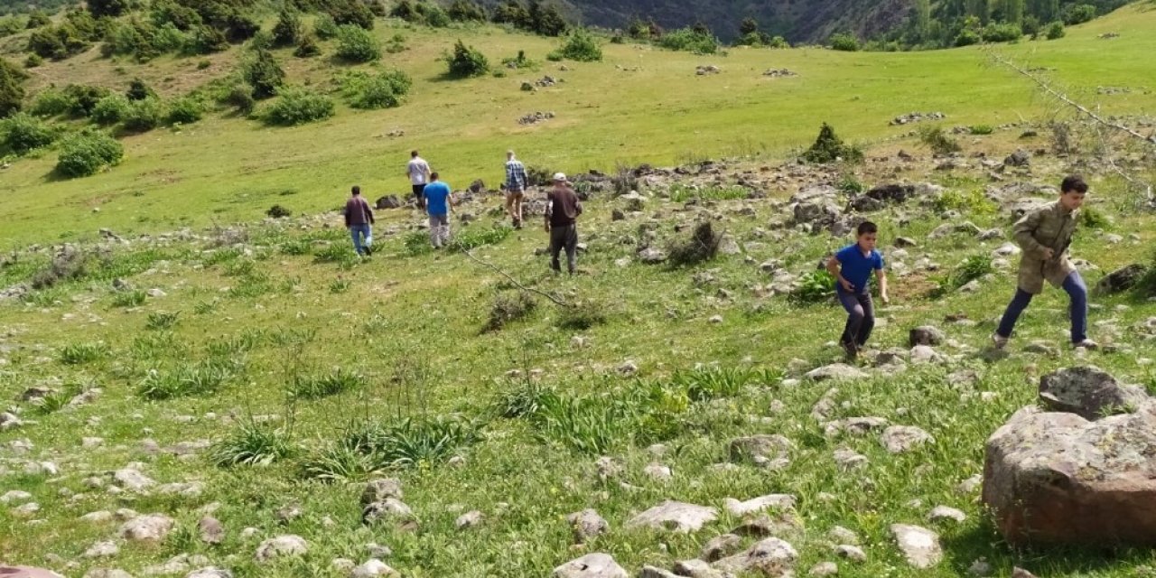 Kaybolan koyunlarını 12 gündür arıyor