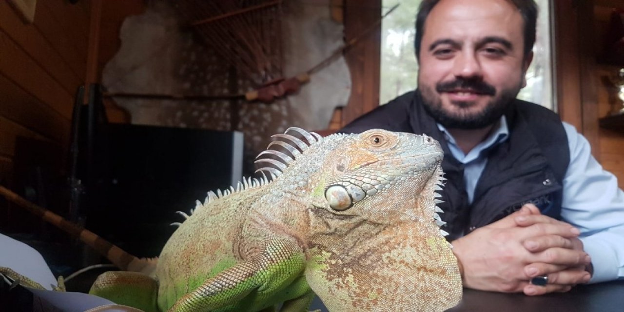 4 yıldır beslediği iguana en yakın arkadaşı oldu
