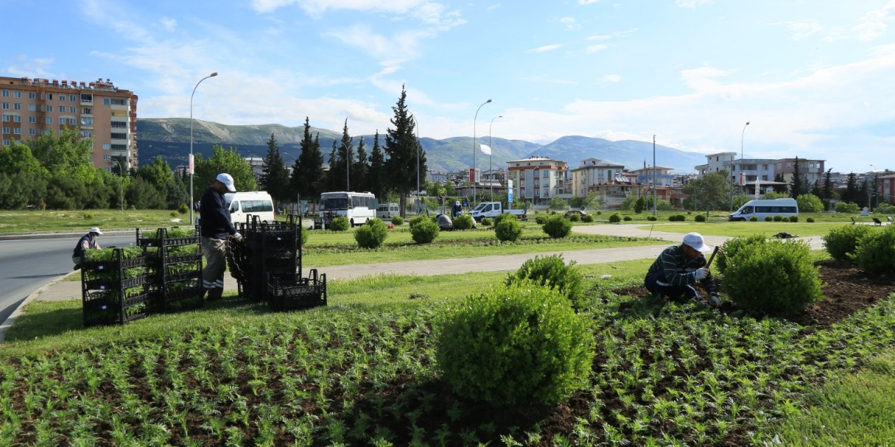 Kahramanmaraş çiçeklerle donatılıyor